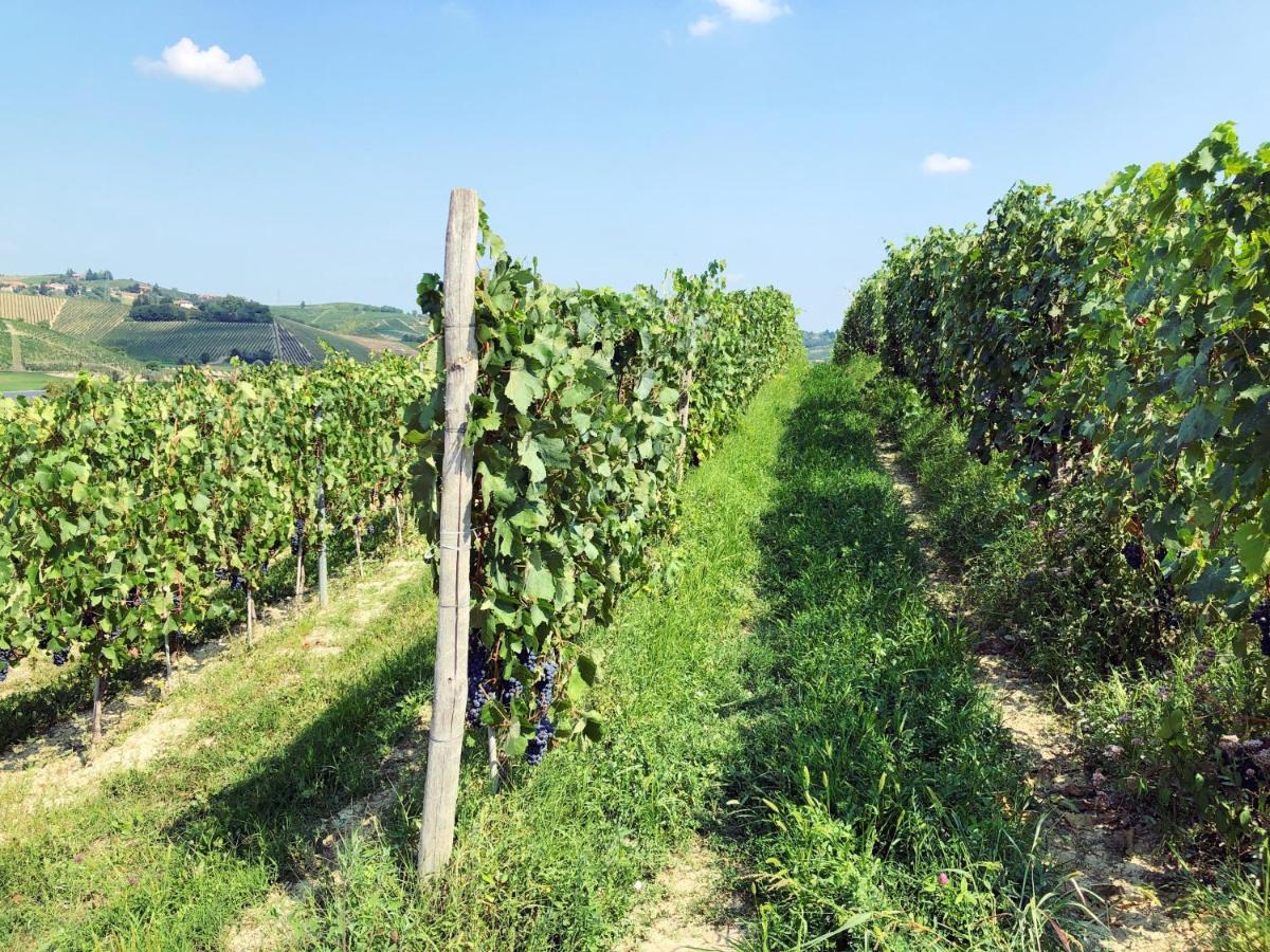 Agriturismo La Mussia Castelnuovo  エクステリア 写真