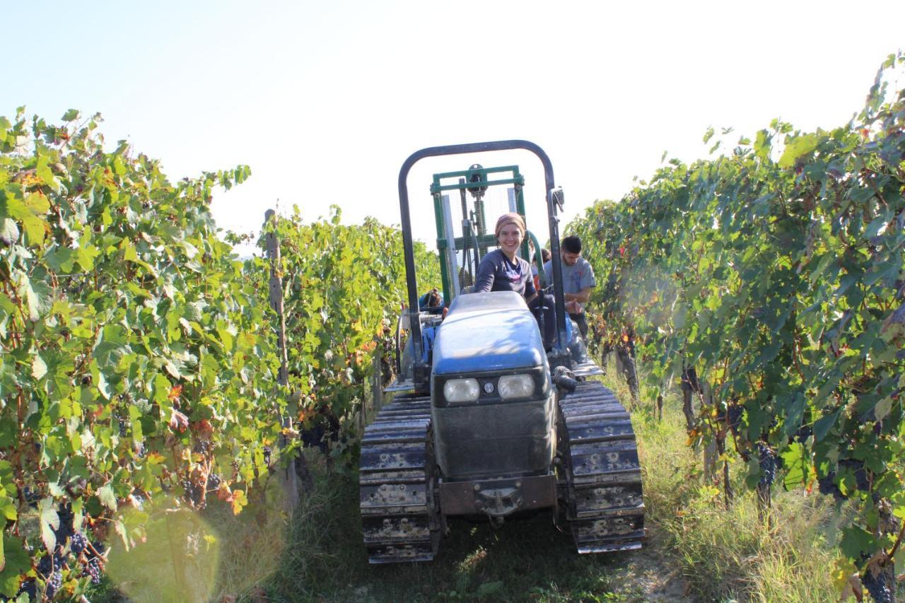 Agriturismo La Mussia Castelnuovo  エクステリア 写真