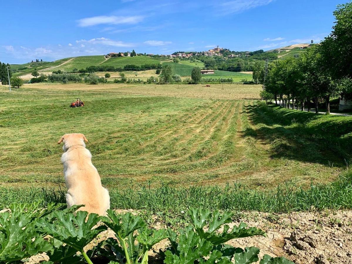 Agriturismo La Mussia Castelnuovo  エクステリア 写真