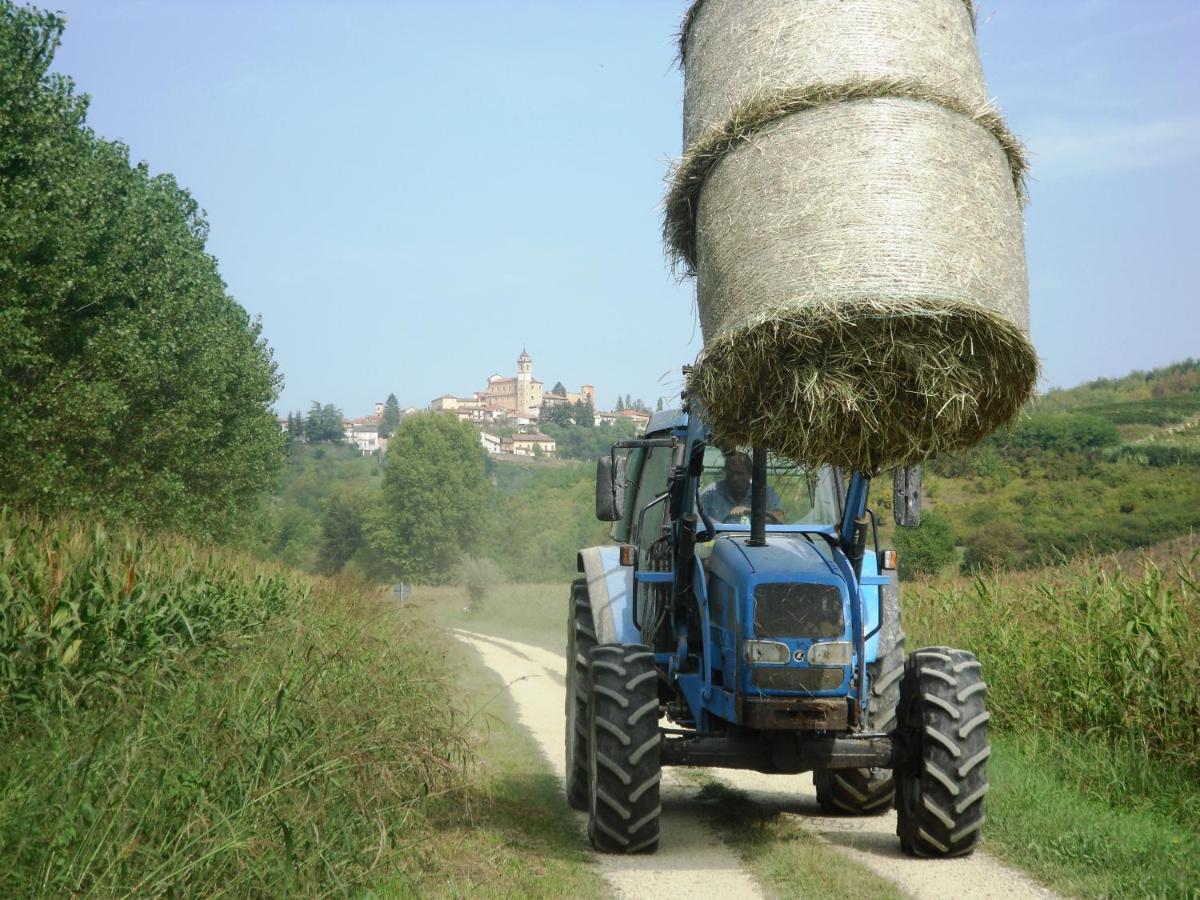 Agriturismo La Mussia Castelnuovo  エクステリア 写真