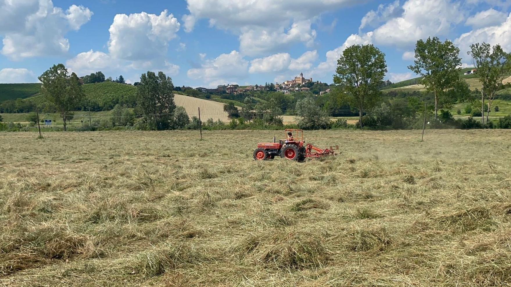 Agriturismo La Mussia Castelnuovo  エクステリア 写真