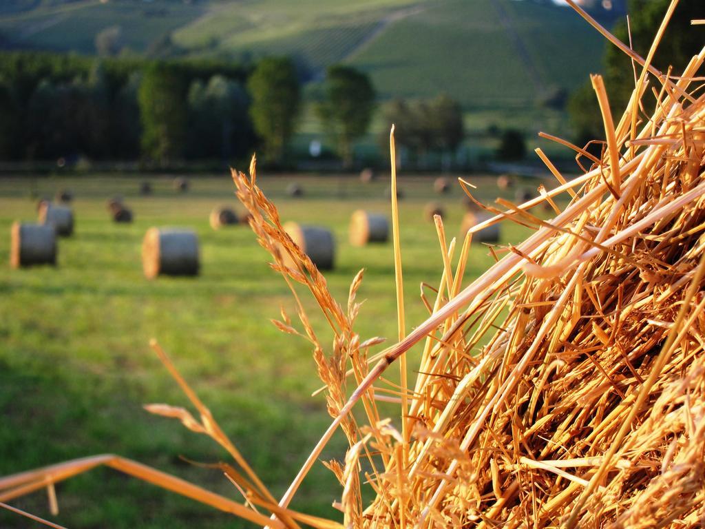 Agriturismo La Mussia Castelnuovo  エクステリア 写真